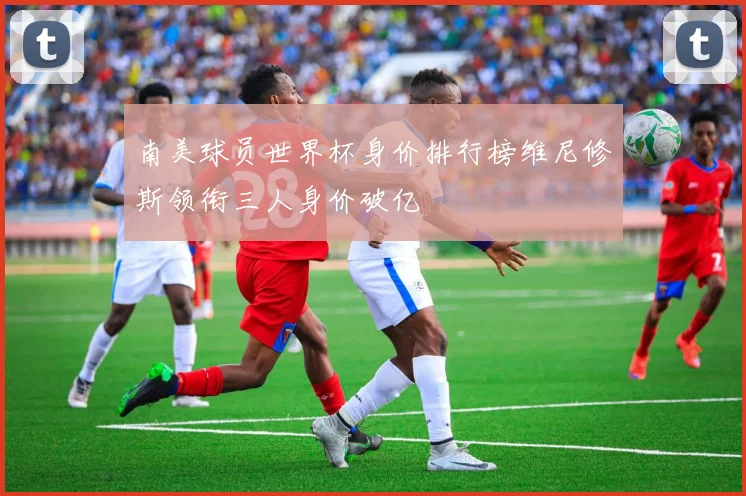 南美球员世界杯身价排行榜维尼修斯领衔三人身价破亿